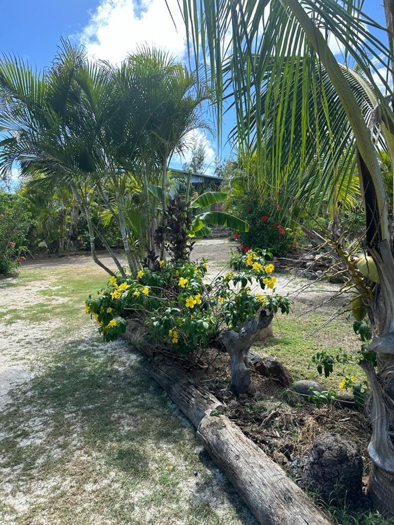 Lily Pad Lodge Bambou Εξωτερικό φωτογραφία