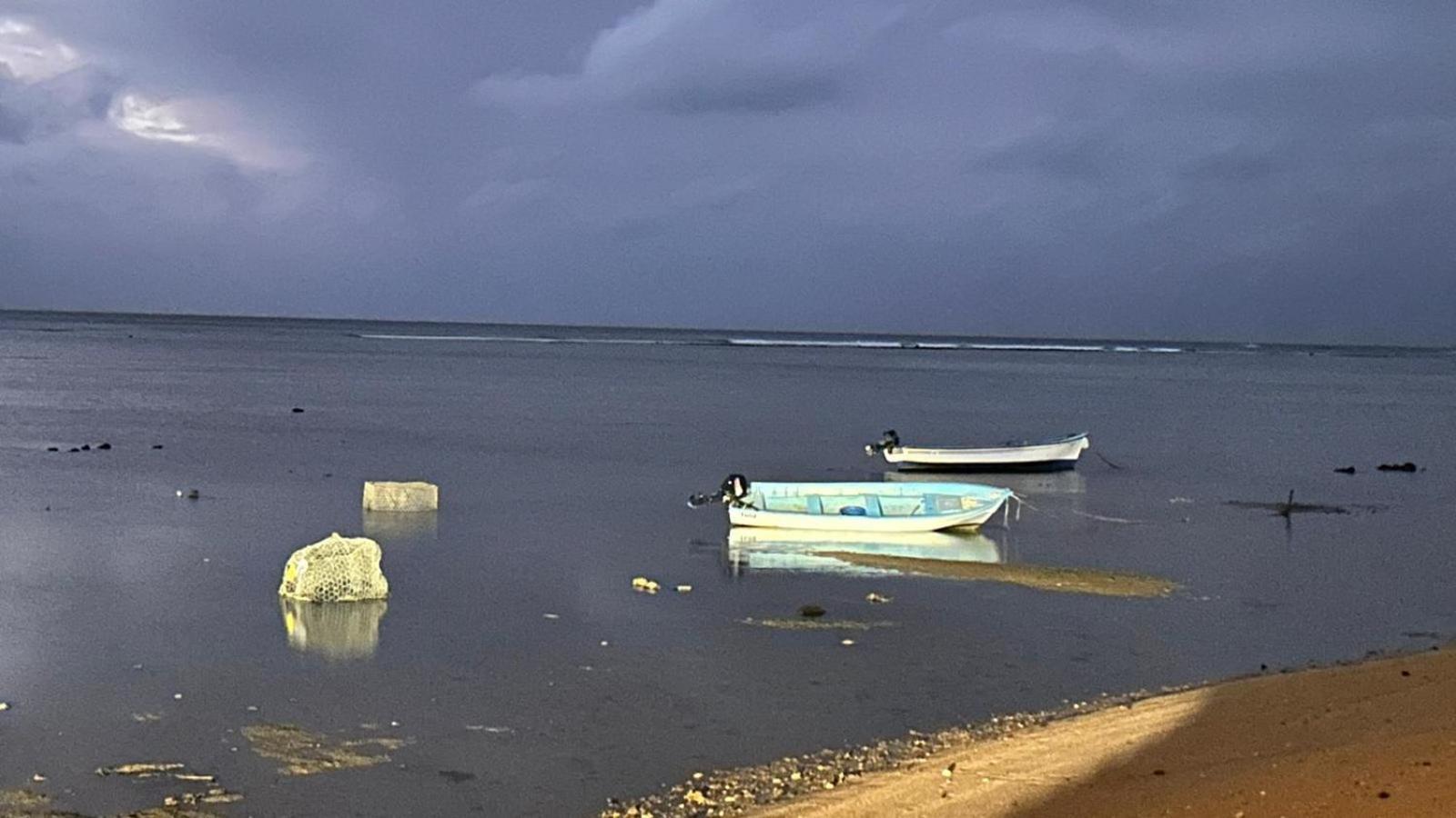 Lily Pad Lodge Bambou Εξωτερικό φωτογραφία